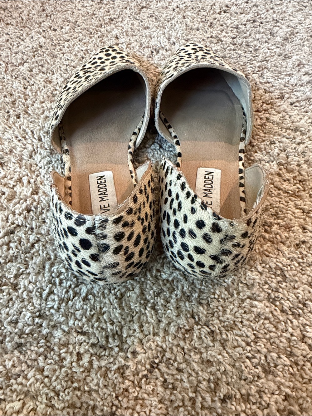 Steve Madden Leopard-Print Slip-On Flats - Black & Cream - Picture 5 of 6